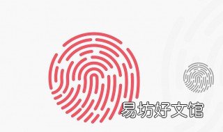 硅胶假指纹制作方法 假指纹硅胶比例
