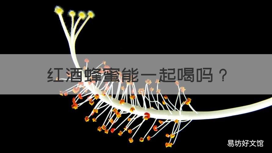 红酒蜂蜜能一起喝吗 蜂蜜能跟红酒一起喝吗