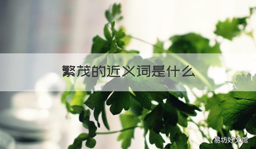 繁茂的近义词是什么 繁茂的近义词是什么 二年级
