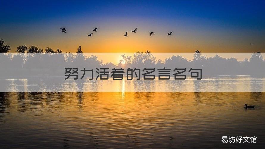 努力活着的名言名句 人生坚持努力的名言