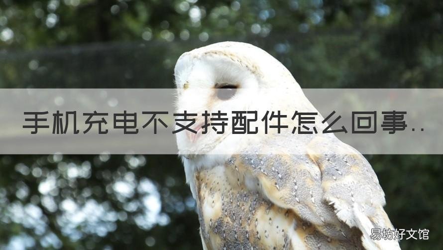 手机充电不支持配件怎么回事 手机充电不支持配件怎么回事儿