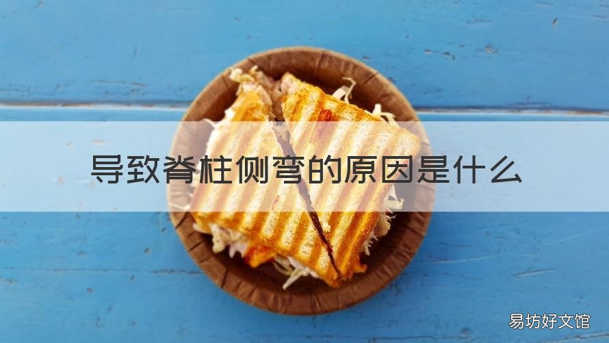 导致脊柱侧弯的原因是什么 脊柱侧弯是什么原因造成的
