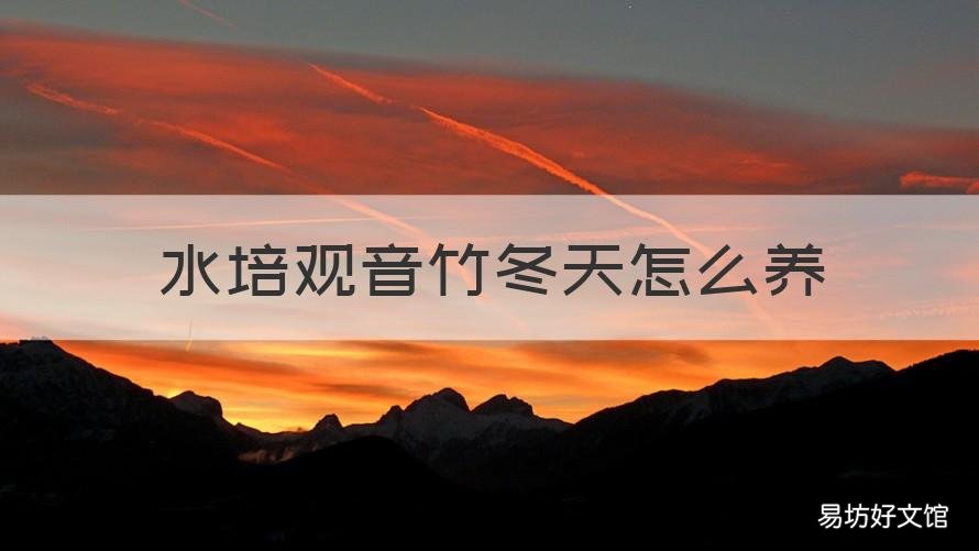 水培观音竹冬天怎么养 水培观音竹冬天怎么养好