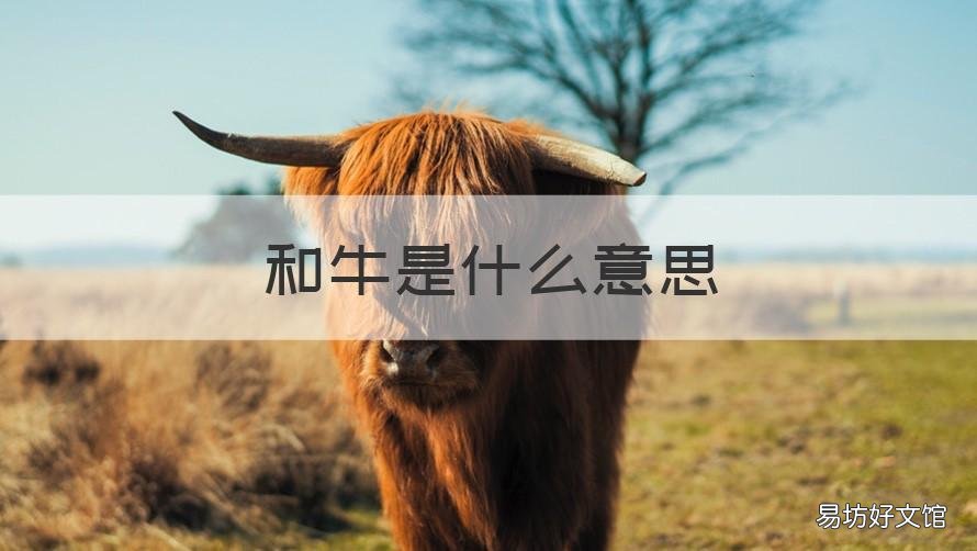 和牛是什么意思 m6和牛是什么意思