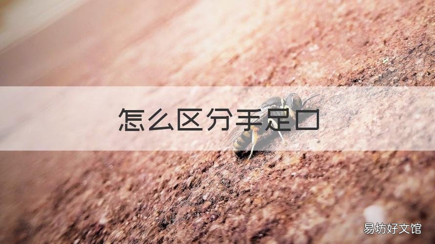 怎么区分手足口 怎么区分手足口病的轻重