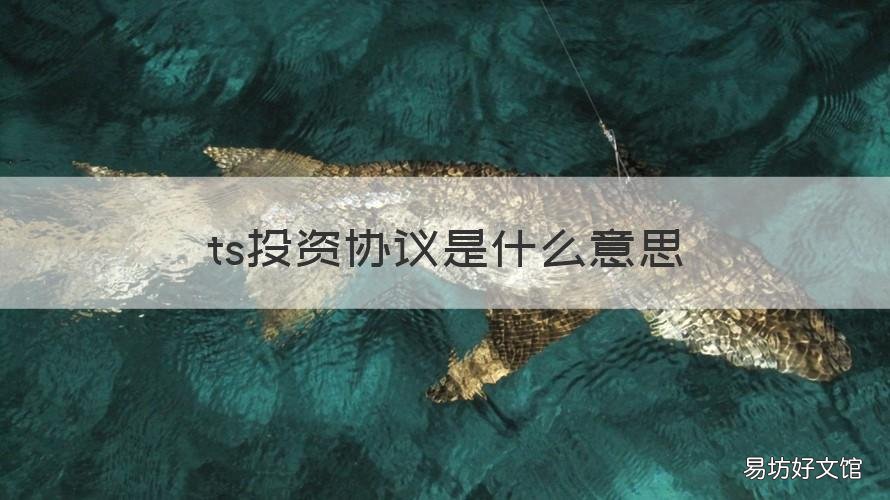 ts投资协议是什么意思