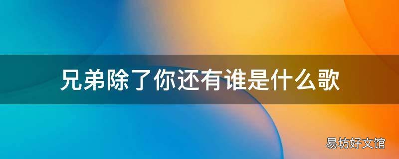 兄弟除了你还有谁是什么歌 兄弟还有谁那首歌里的