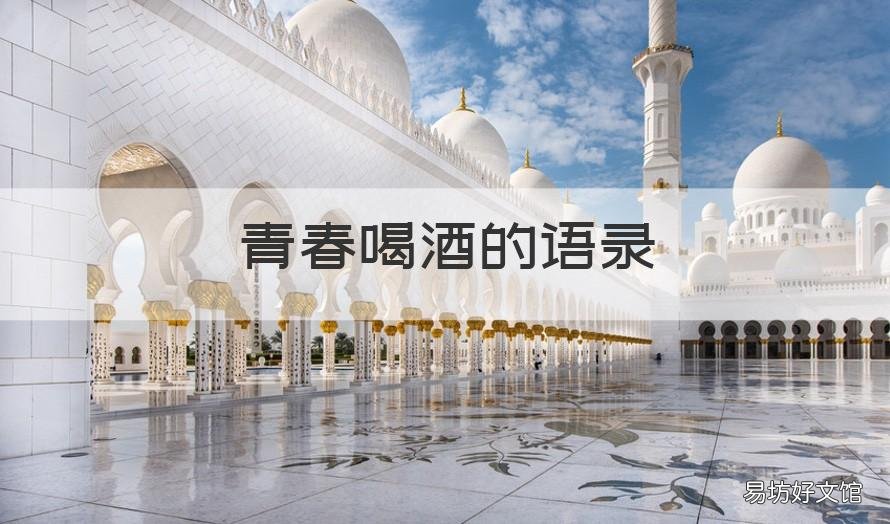 青春喝酒的语录 青春喝酒的语录短句
