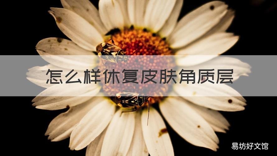 怎么样休复皮肤角质层 怎么样修复皮肤角质层