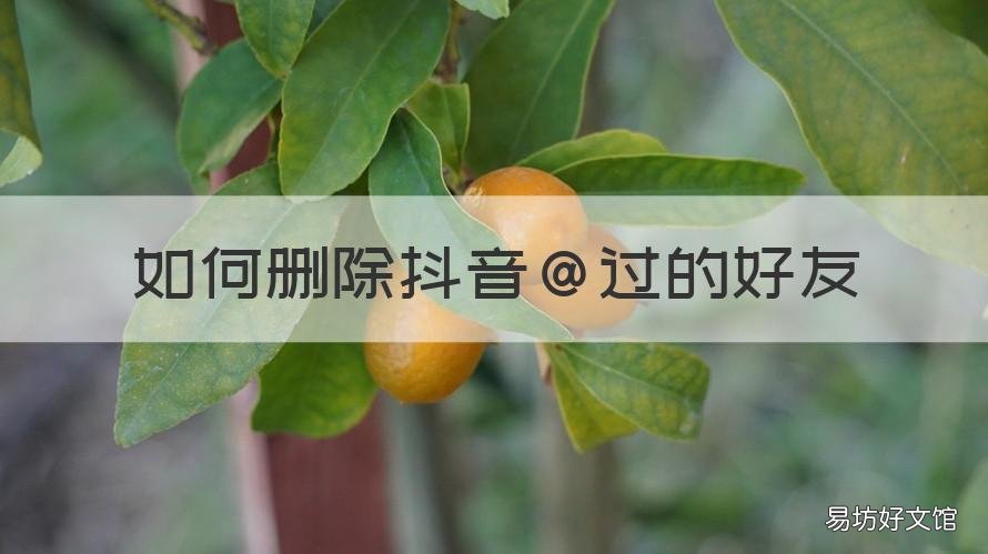 如何删除抖音@过的好友 怎么删除好友抖音