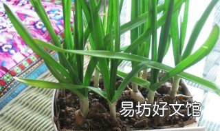 种蒜什么时间上肥料 种蒜什么时间上肥料最佳