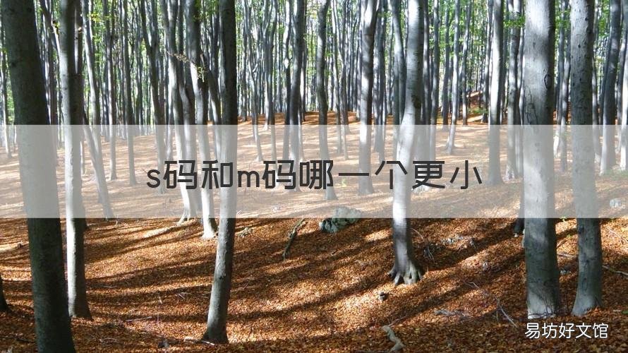 s码和m码哪一个更小 s码比m码大还是小