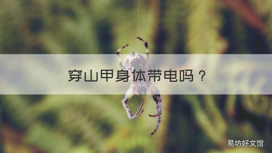 穿山甲身体带电吗 穿山甲鳞片为什么带电