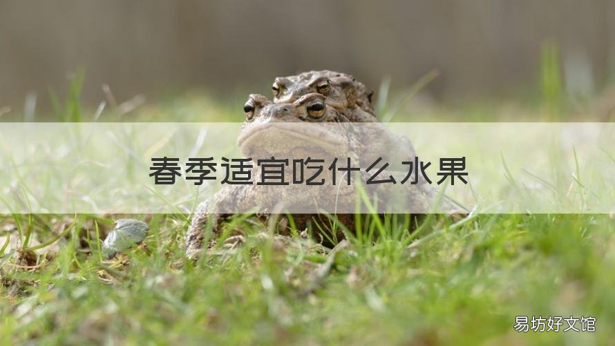春季适宜吃什么水果 春季应该吃什么水果