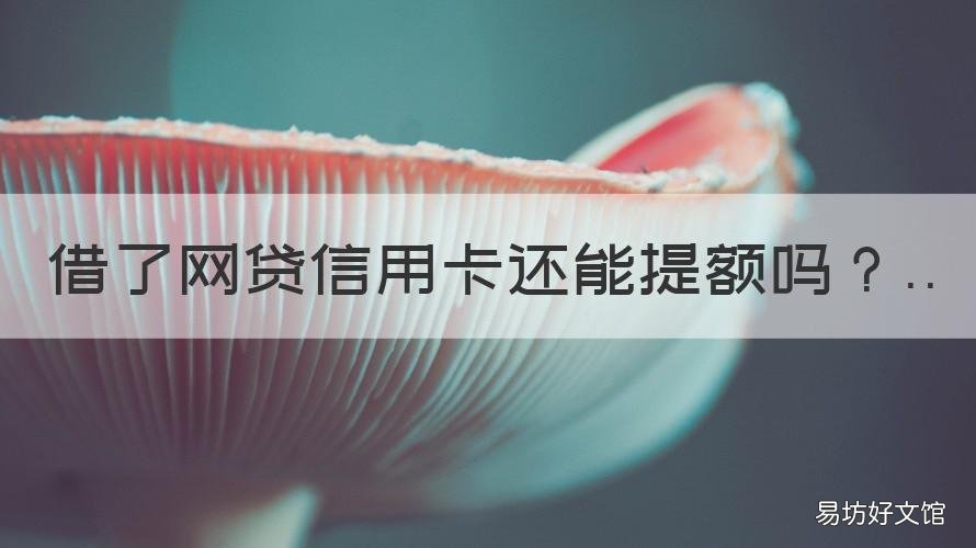 借了网贷信用卡还能提额吗 网贷多信用卡能提额吗