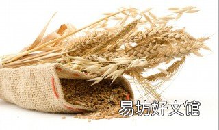 凤尾鱼小麦汤家常做法 凤尾鱼小麦汤家常做法视频