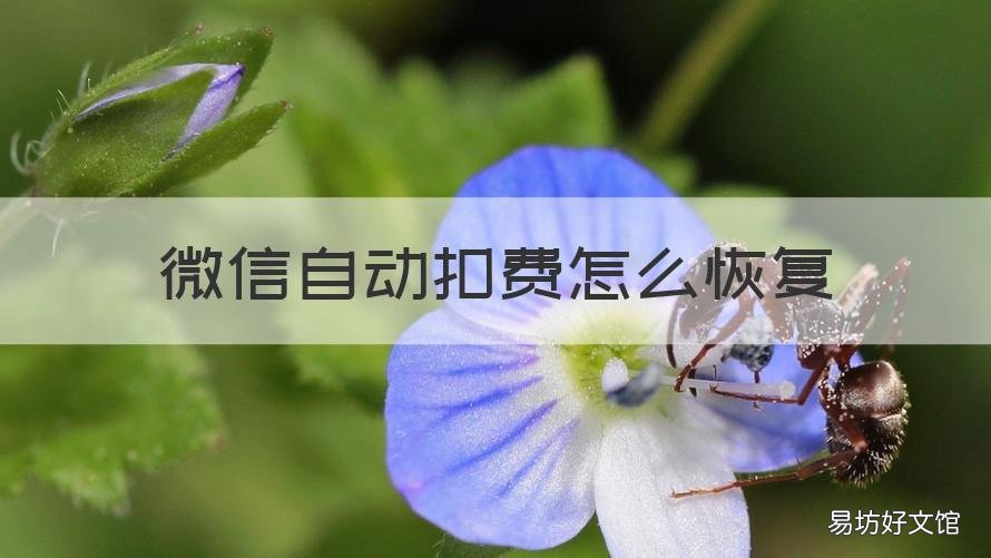 微信自动扣费怎么恢复 微信自动扣费怎么恢复解约项目
