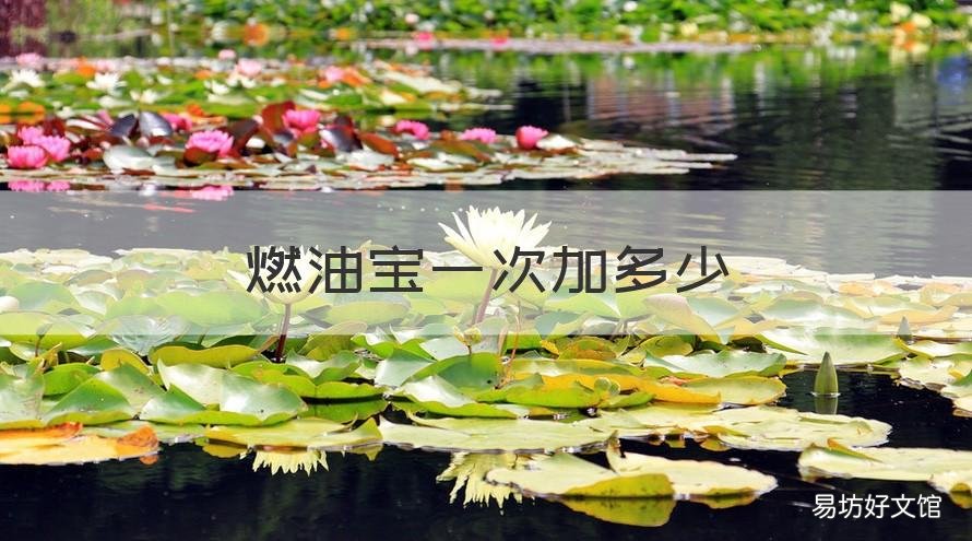燃油宝一次加多少 燃油宝需要加多少次