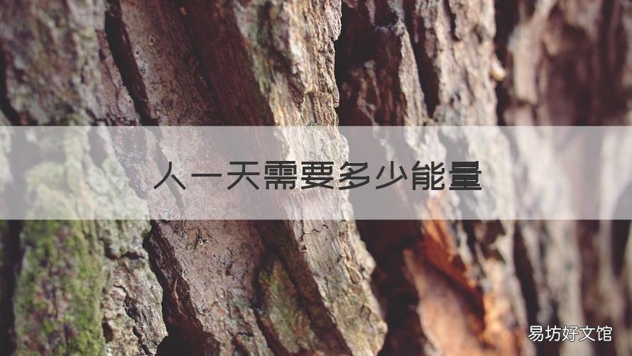 人一天需要多少能量 一个成人一天需要多少热量