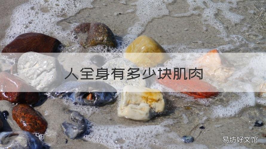 人全身有多少块肌肉