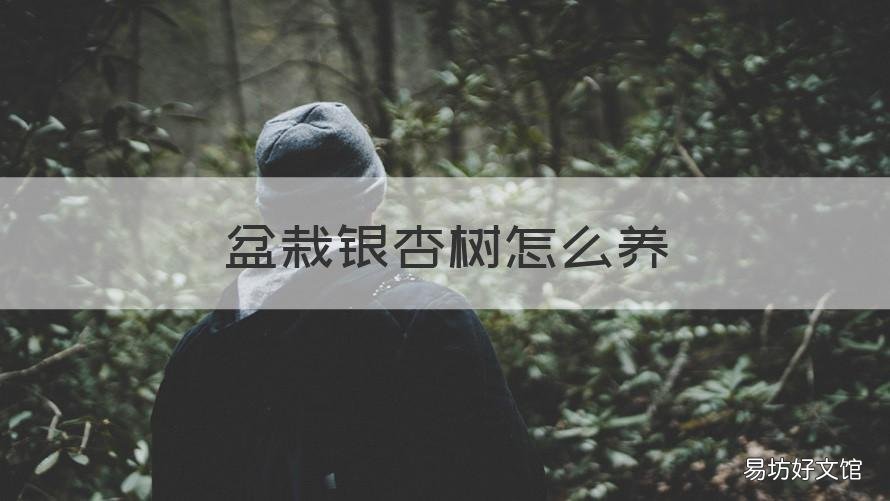 盆栽银杏树怎么养 花盆银杏树好不好养