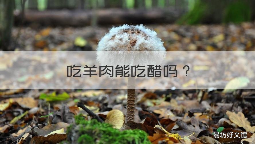 吃羊肉能吃醋吗 吃羊肉能吃醋吗百度百科