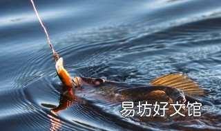 江钓鲈鱼正确方法 江鲈怎么钓