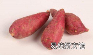 漏頭青紅薯能吃么