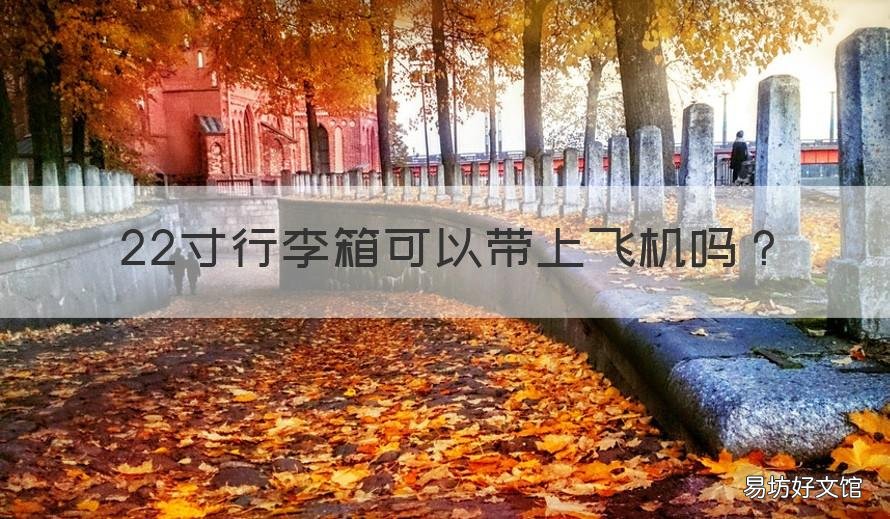 22寸行李箱可以带上飞机吗 22寸行李箱能带飞机吗