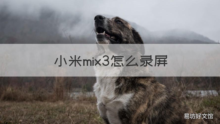 小米mix3怎么录屏 小米mix3录屏怎么录声音