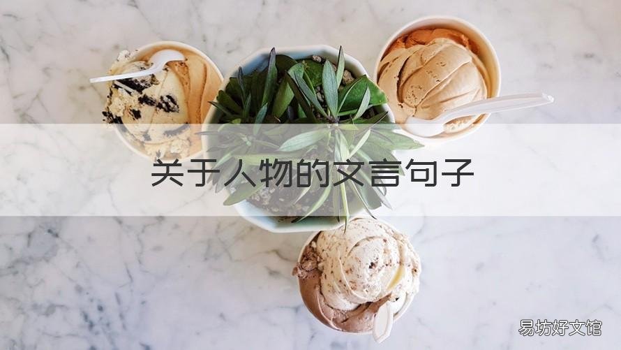 关于人物的文言句子 人物描写的文句