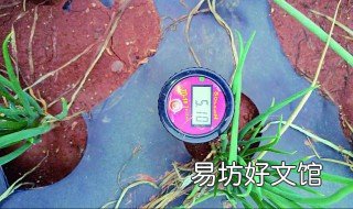 土壤酸化怎么办 土壤酸化怎么办才能解决