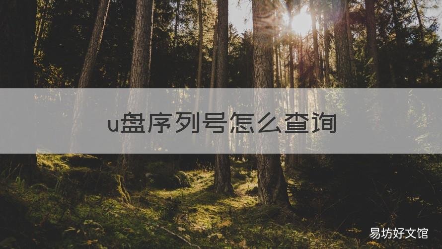 u盘序列号怎么查询 u盘序列号怎么查询和生产商