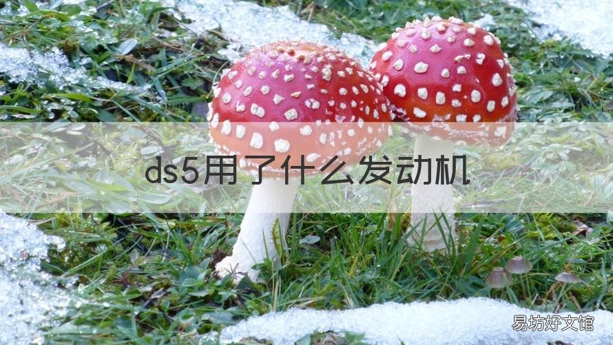 ds5用了什么发动机 DS5发动机型号