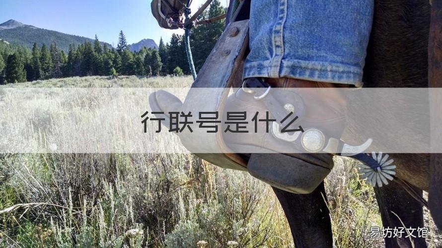 行联号是什么 联行号是什么怎么查询