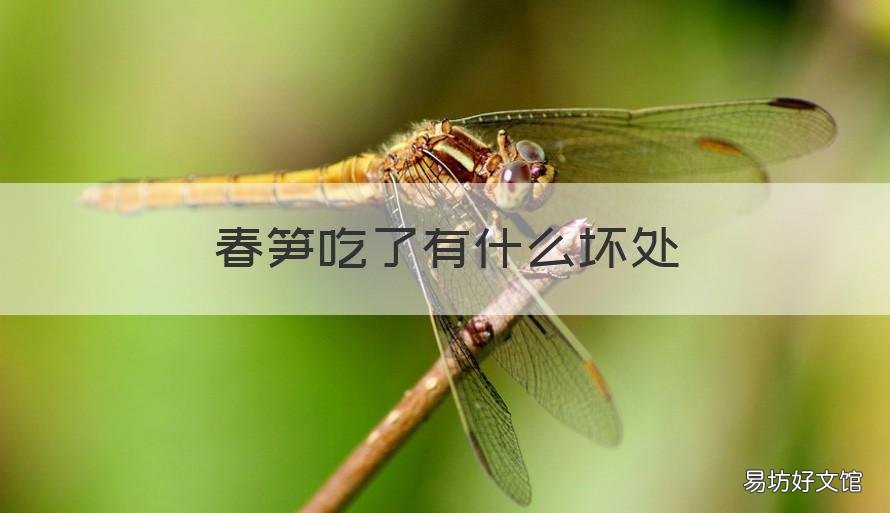 春笋吃了有什么坏处 常吃春笋有什么坏处