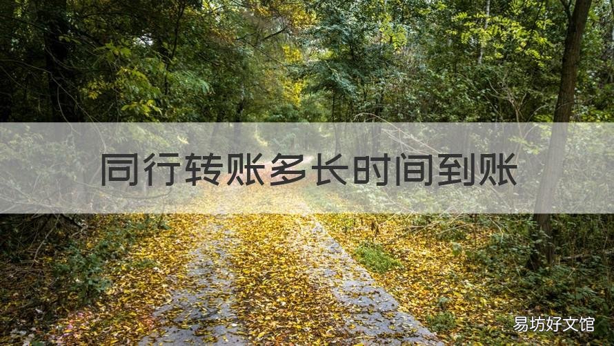 同行转账多长时间到账