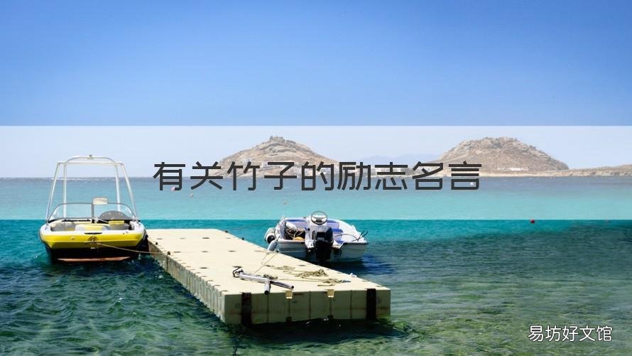 有关竹子的励志名言 有关竹子的励志名言警句