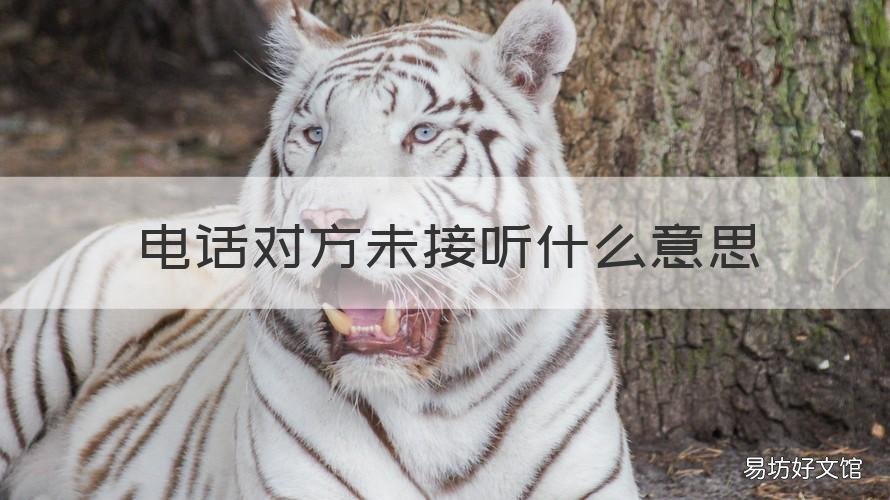 电话对方未接听什么意思 对方未接听是否拨打电话