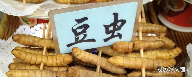 大豆虫可以吃吗 能吃的豆虫