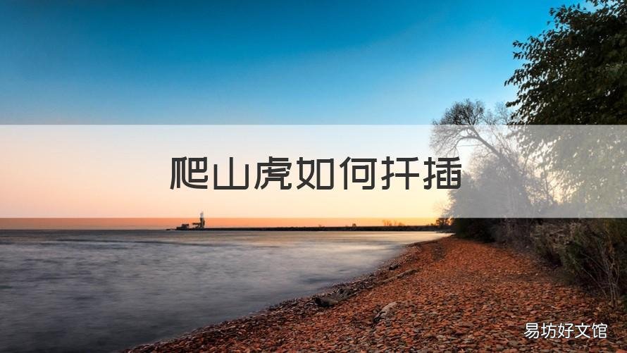 爬山虎如何扦插 爬山虎如何扦插图解