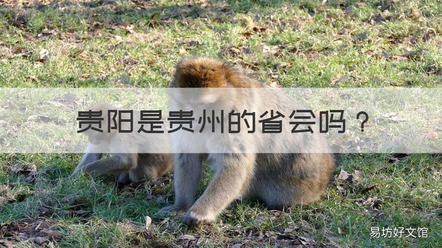 贵阳是贵州的省会吗 贵州省的省会是贵阳市吗