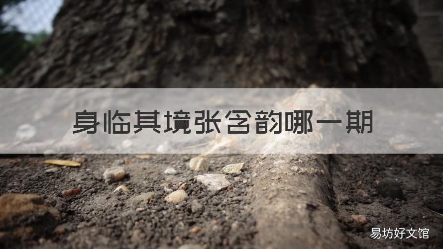 身临其境张含韵哪一期 身临其境 张含韵