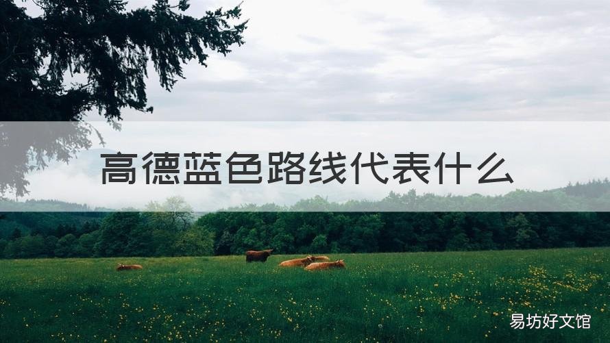 高德蓝色路线代表什么 高德地图深蓝色路线代表什么