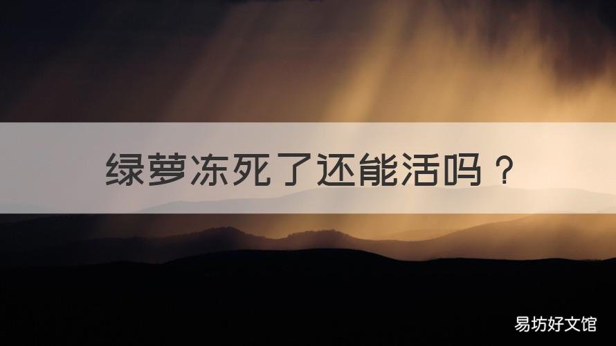 绿萝冻死了还能活吗 绿萝冻死了还能活吗视频