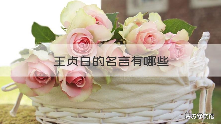 王贞白的名言有哪些 王贞白的故事