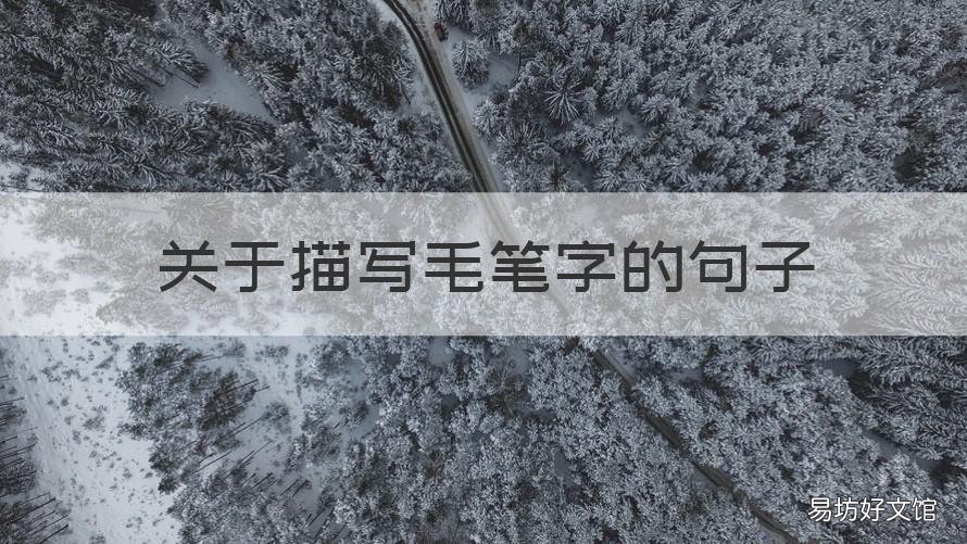 关于描写毛笔字的句子 形容写毛笔字的句子