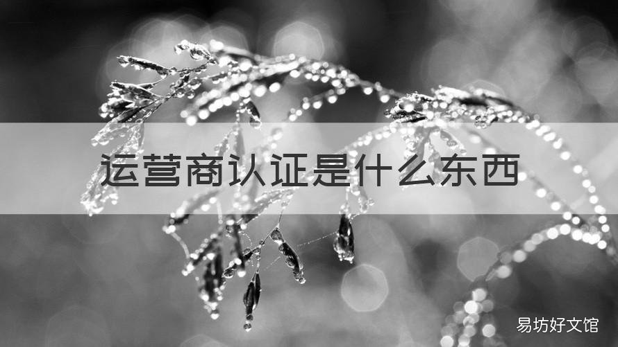 运营商认证是什么东西 运营商认证是啥