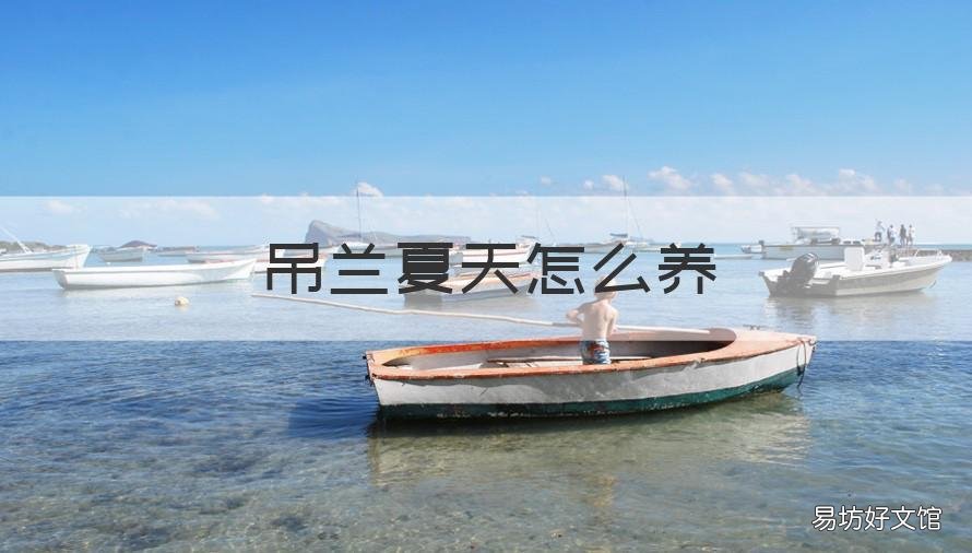 吊蘭夏天怎么養(yǎng) 夏季如何養(yǎng)吊蘭