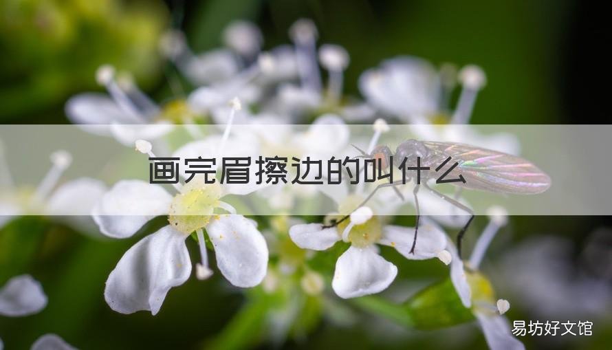 画完眉擦边的叫什么 画眉毛之前需要擦什么